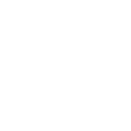 Delam